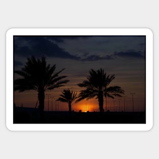 palm trees at sunset Sticker